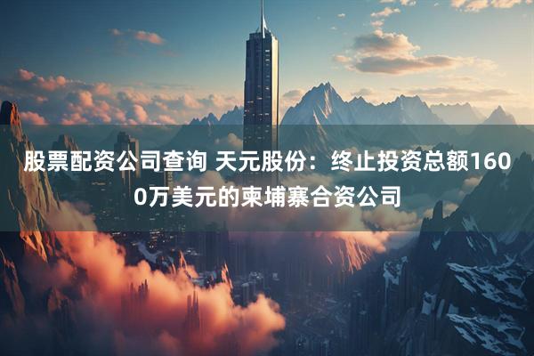 股票配资公司查询 天元股份：终止投资总额1600万美元的柬埔寨合资公司
