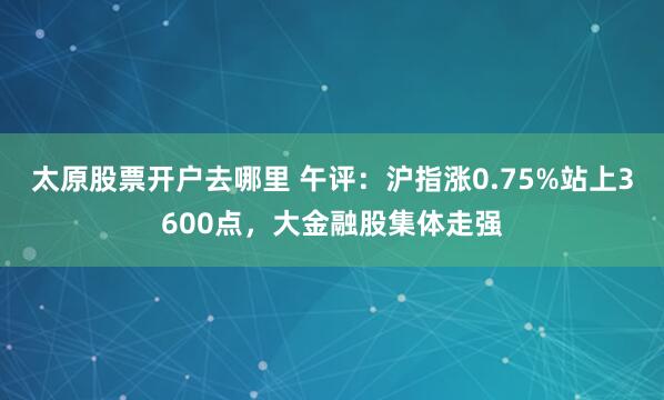 太原股票开户去哪里 午评：沪指涨0.75%站上3600点，大金融股集体走强