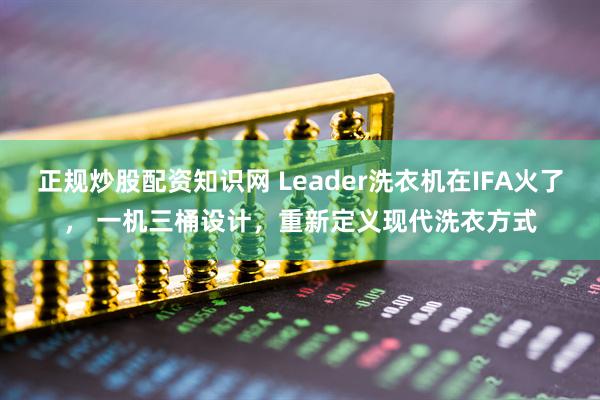 正规炒股配资知识网 Leader洗衣机在IFA火了， 一机三桶设计，重新定义现代洗衣方式