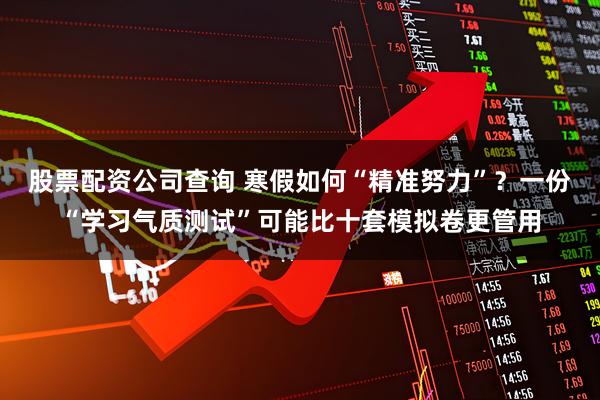股票配资公司查询 寒假如何“精准努力”？一份“学习气质测试”可能比十套模拟卷更管用